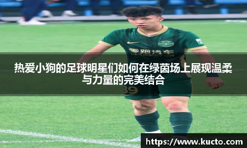 热爱小狗的足球明星们如何在绿茵场上展现温柔与力量的完美结合